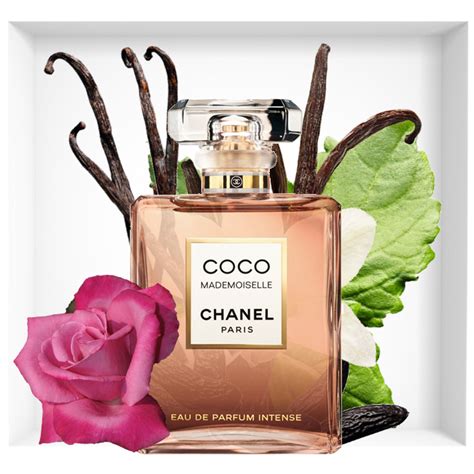 coco chanel mademoiselle intense notes|chanel mademoiselle intense price.